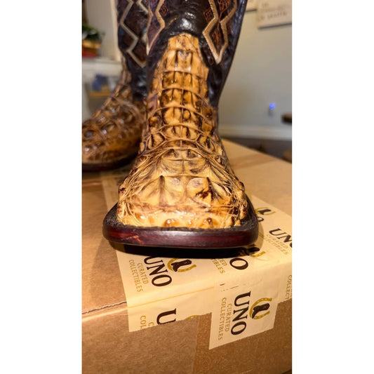 American Alligator - Hornback/Neck Cut- 11D-NEW