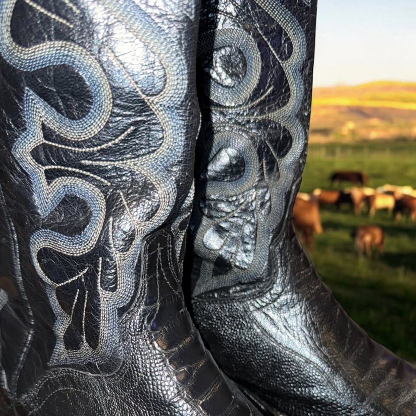 Ostrich Leg Boots-El Dorado-12D