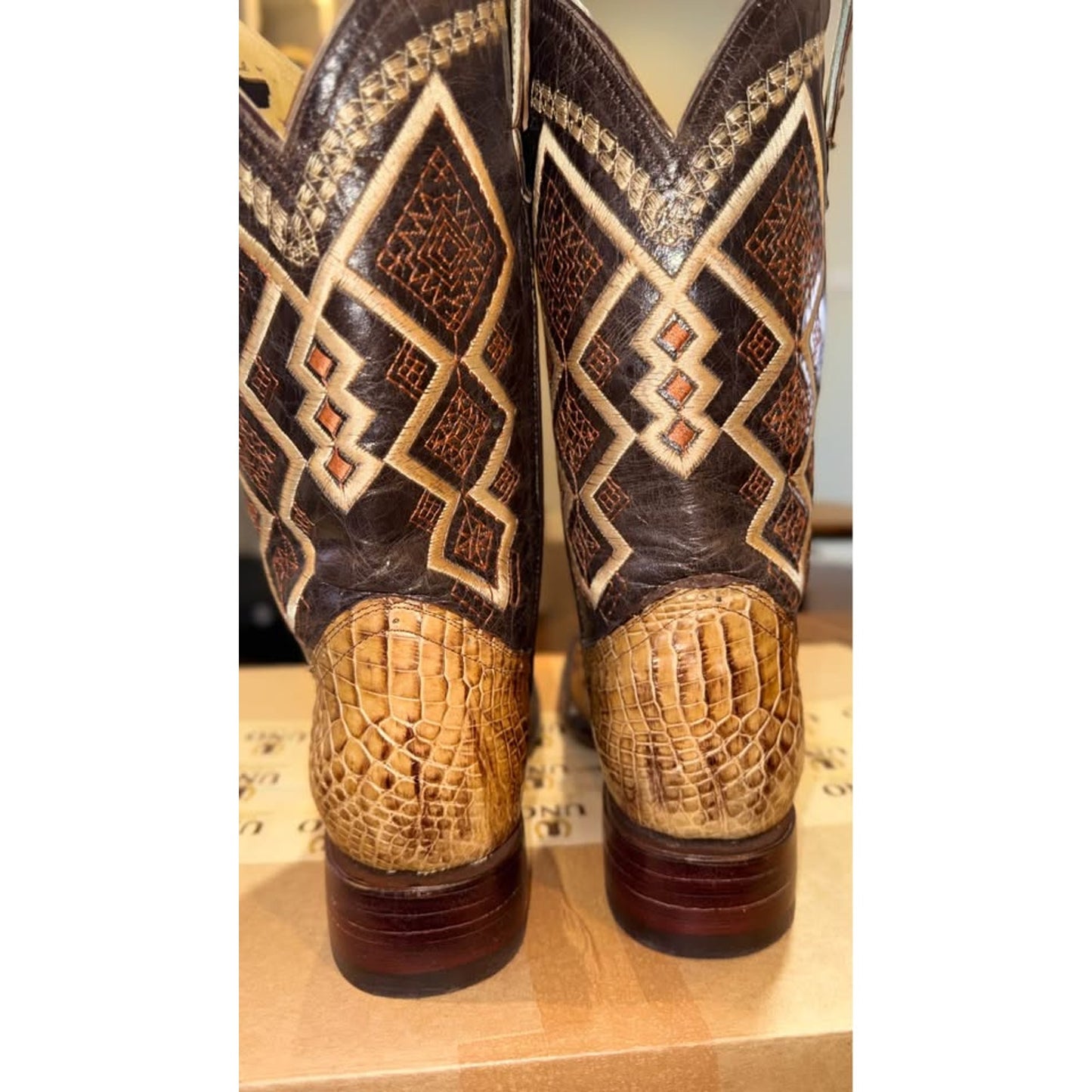 American Alligator - Hornback/Neck Cut- 11D-NEW