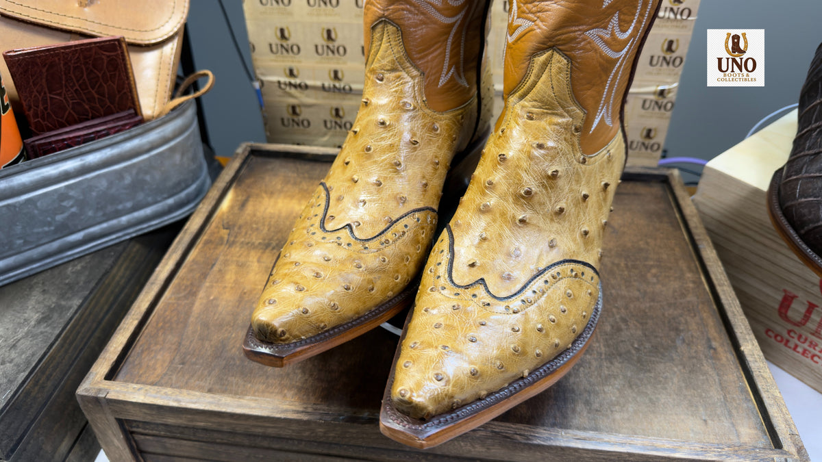 Full Quill Ostrich Wingtip Boots + Matching Belt Buttercup Snip Toe Men's 11.5E