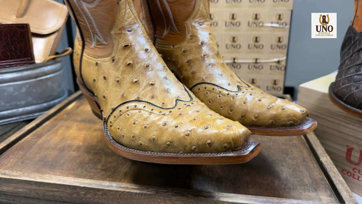 Full Quill Ostrich Wingtip Boots + Matching Belt Buttercup Snip Toe Men's 11.5E