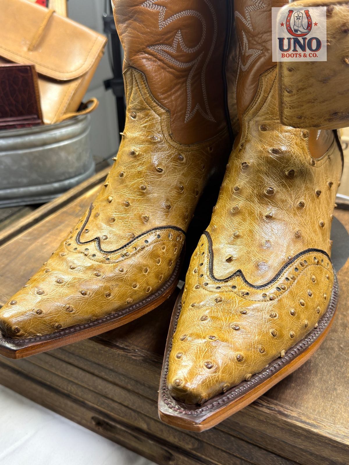 Full Quill Ostrich Wingtip Boots + Matching Belt Buttercup Snip Toe Men's 11.5E