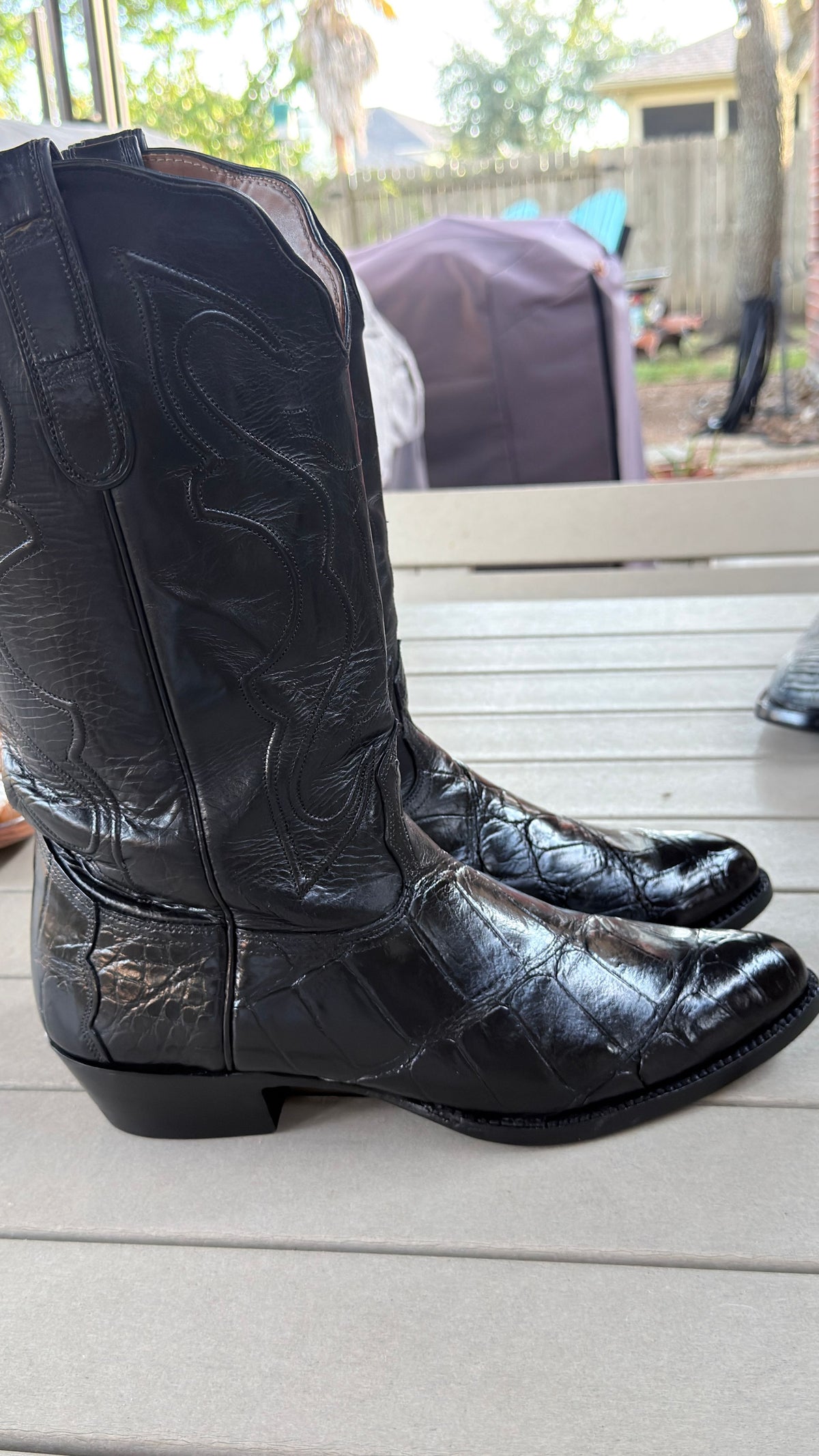 Nacona Large Scale Bias Cut Alligator Boots — Black on Black — Size 12 — Fresh Soles - Image 2