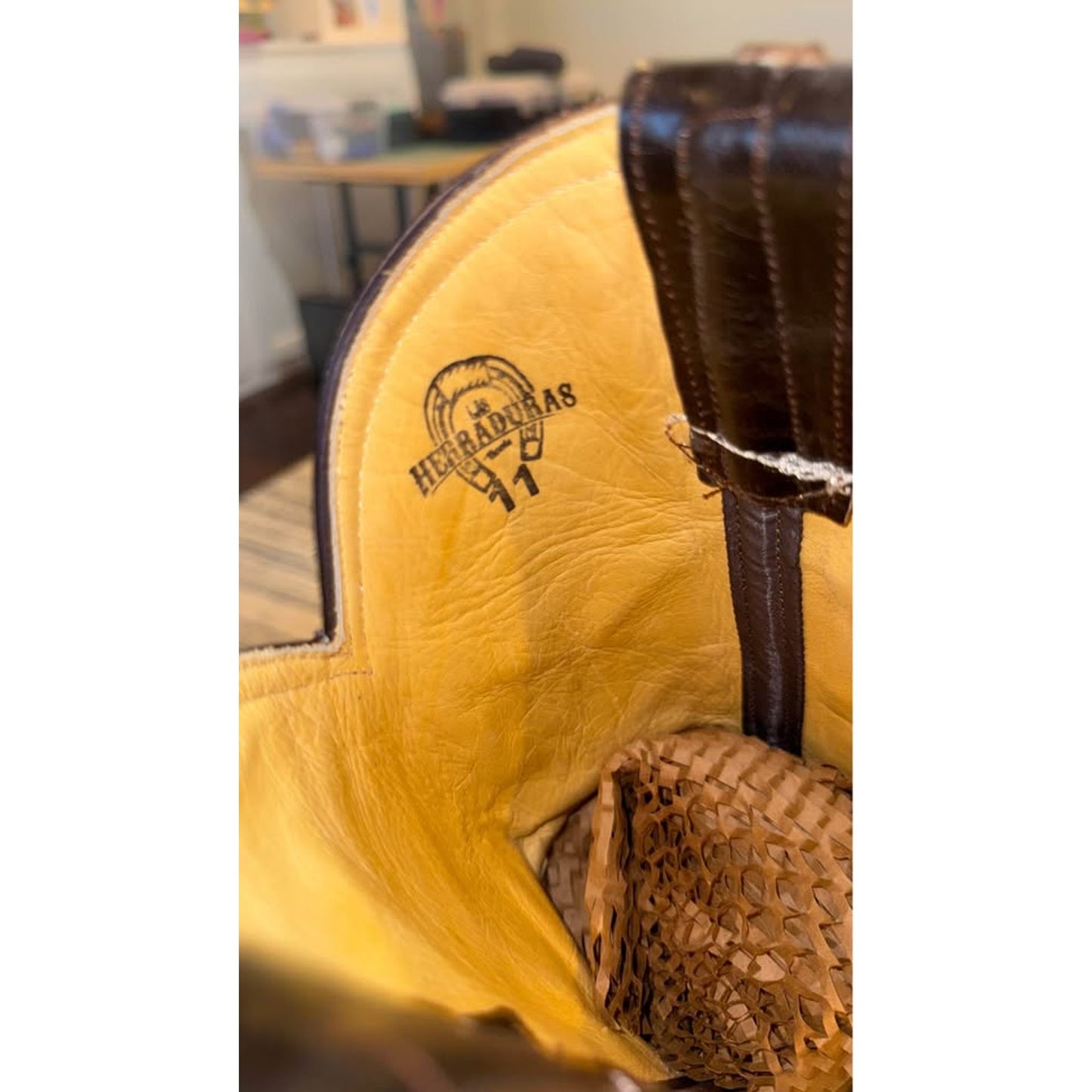 American Alligator - Hornback/Neck Cut- 11D-NEW