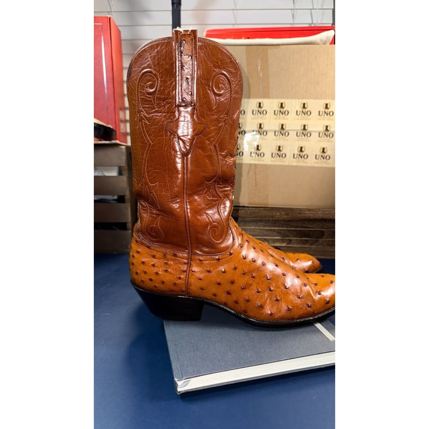 Lucchese Handmade Ostrich 12D