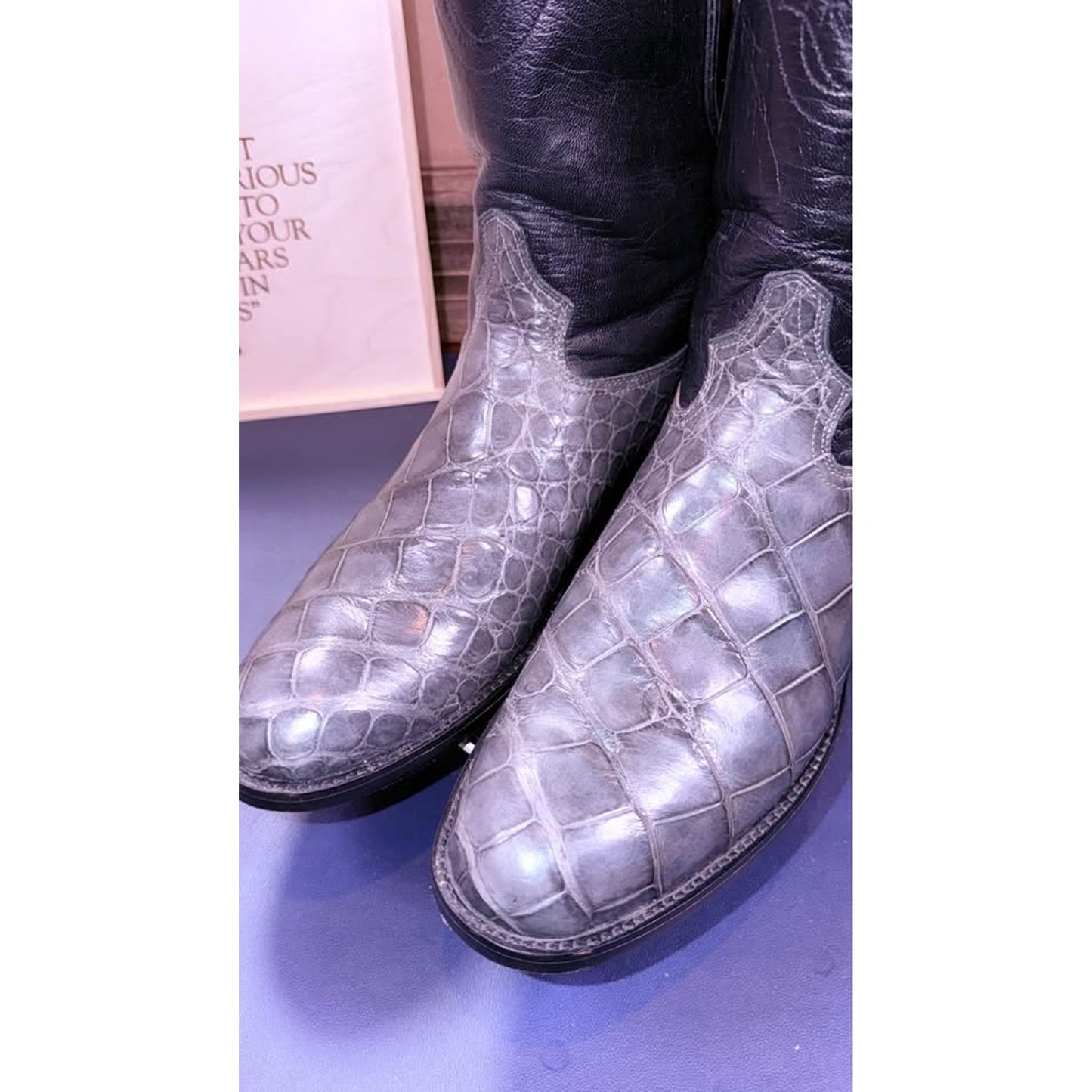 🐊 American Alligator Belly Cut-12D