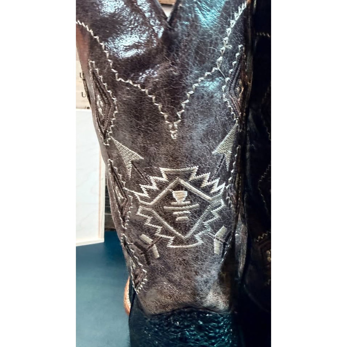 🐸 African Bullfrog Exotic Western Boots - 12