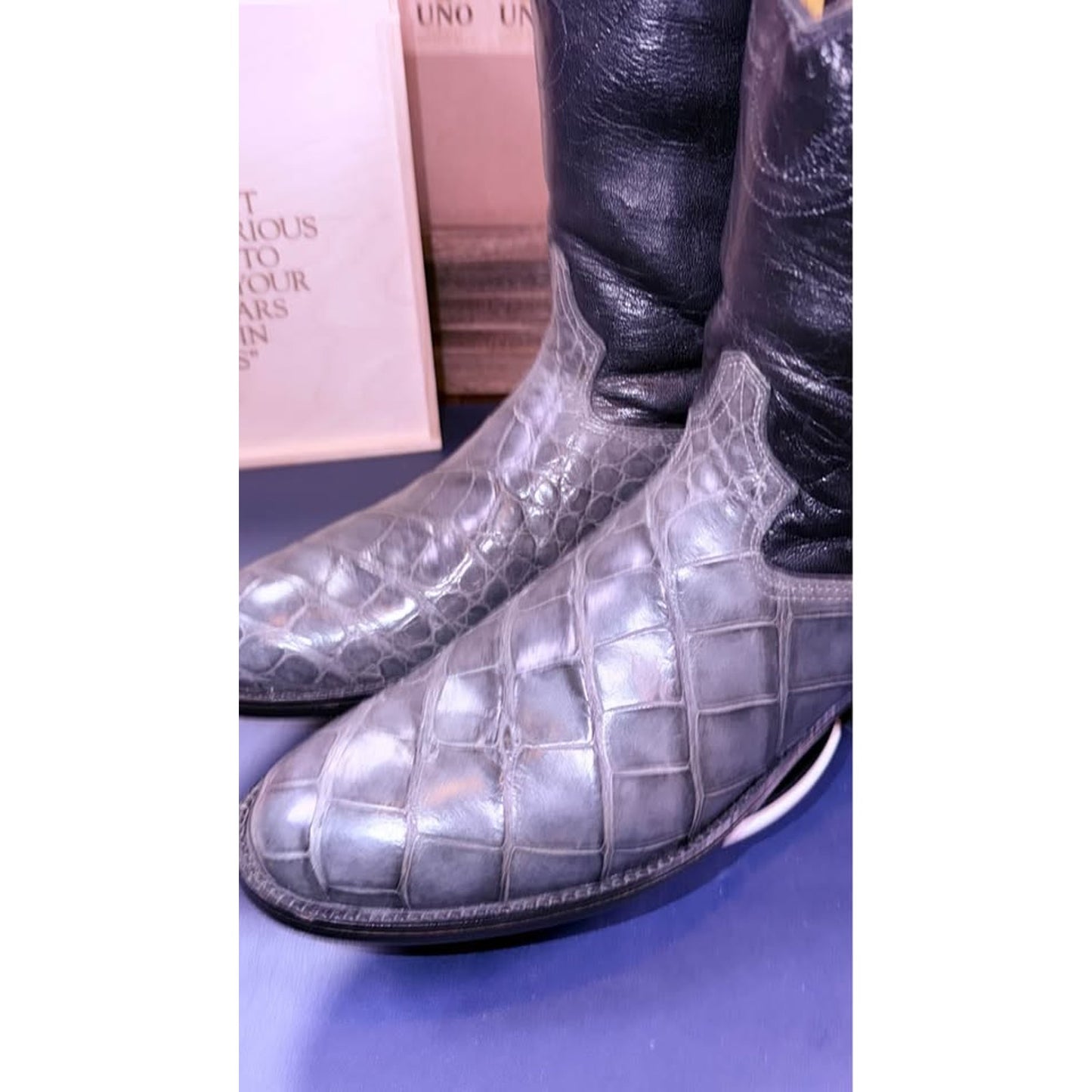 🐊 American Alligator Belly Cut-12D