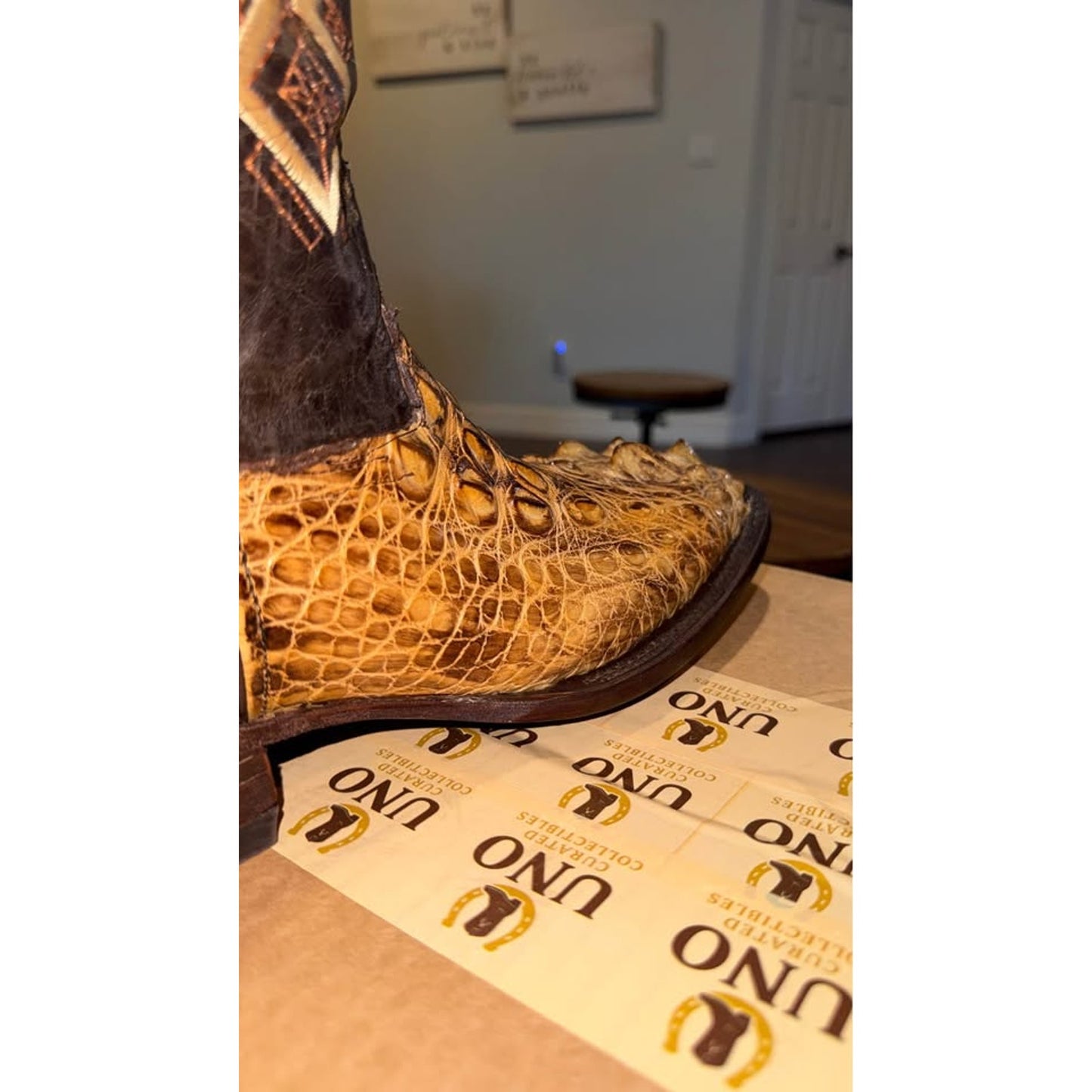 American Alligator - Hornback/Neck Cut- 11D-NEW