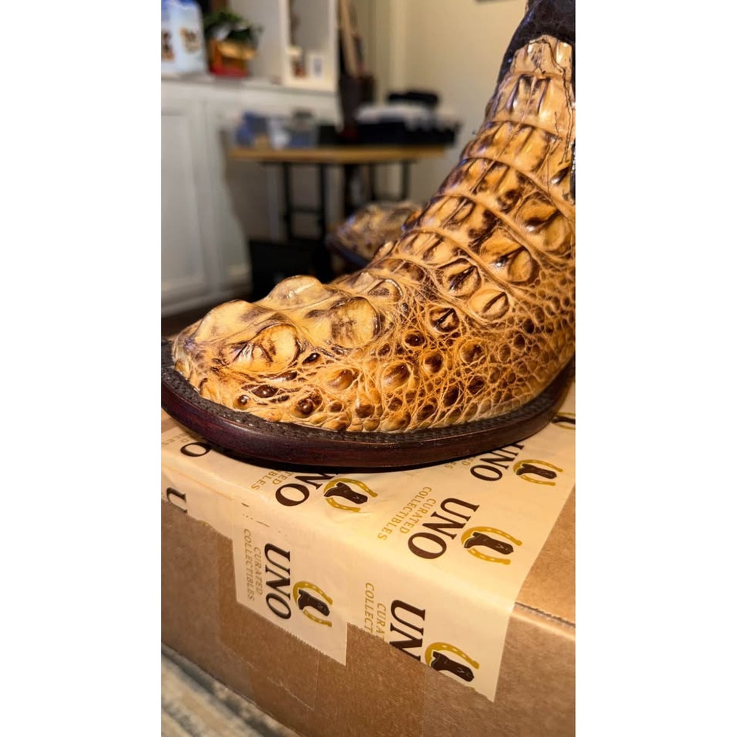 American Alligator - Hornback/Neck Cut- 11D-NEW