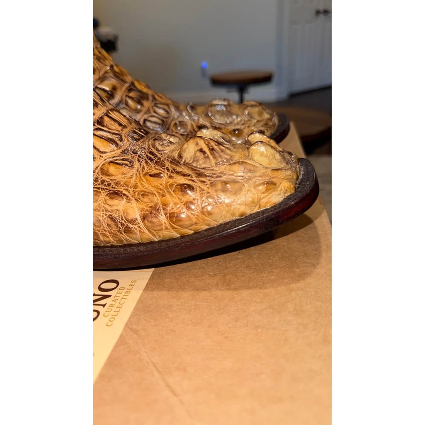 American Alligator - Hornback/Neck Cut- 11D-NEW