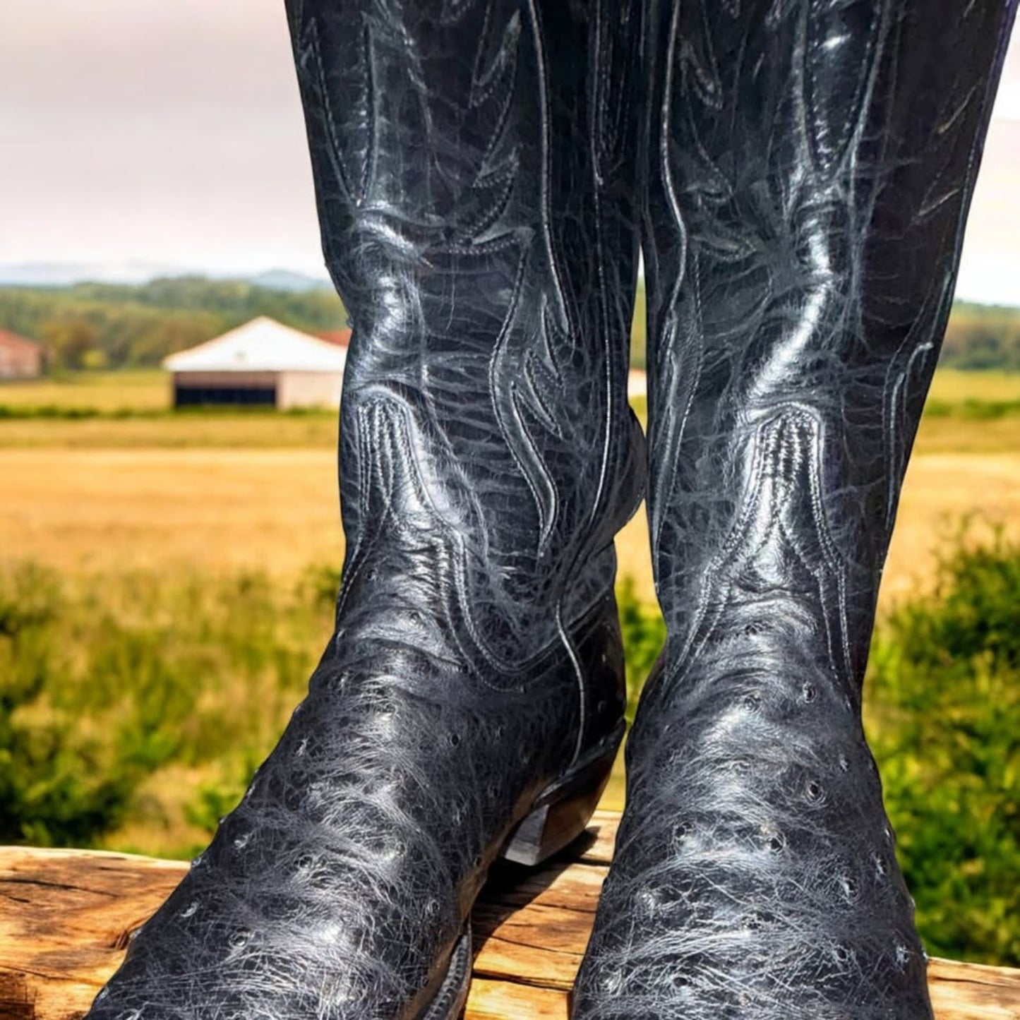 Lucchesse Randall Ostrich-Handmade Black 11.5D