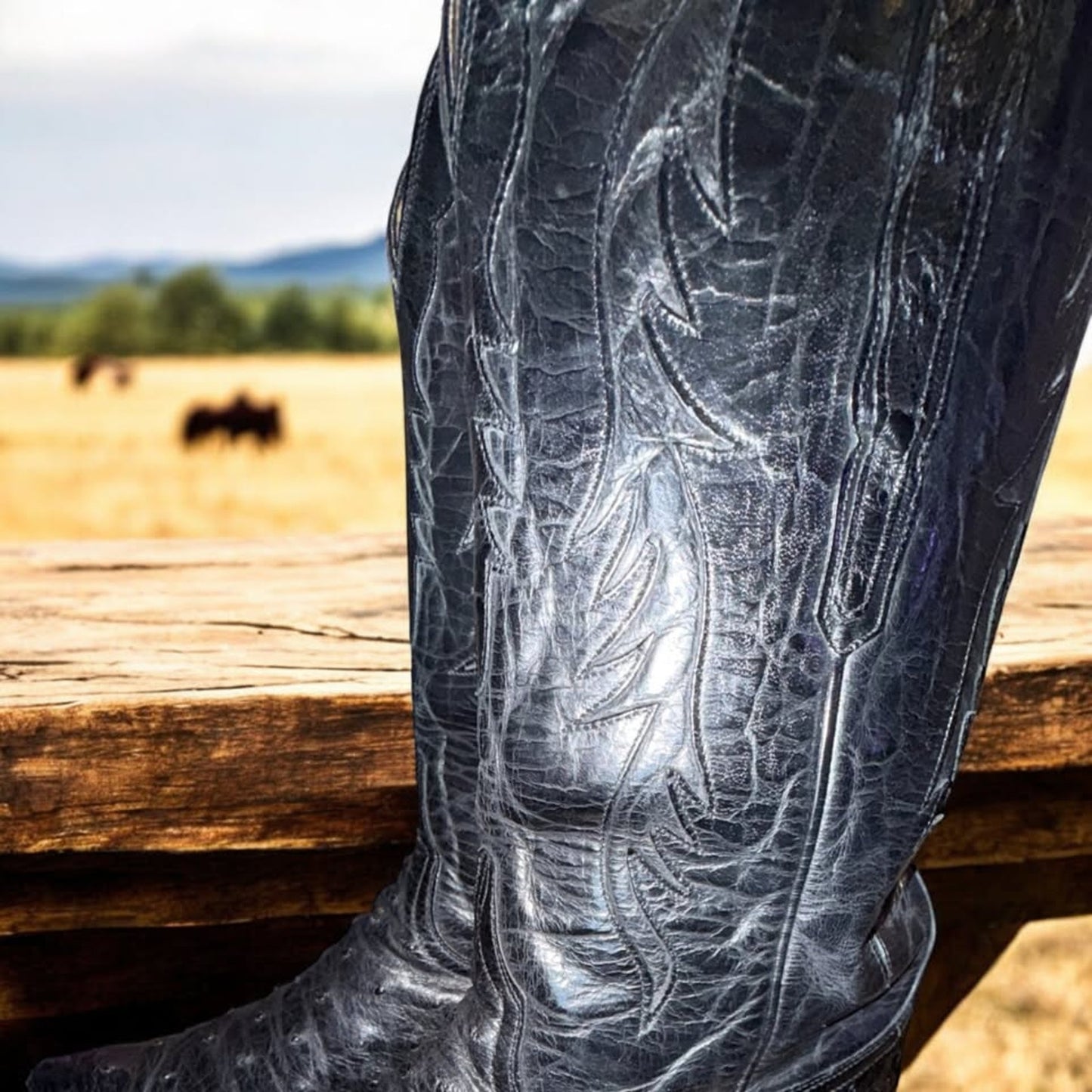 Lucchesse Randall Ostrich-Handmade Black 11.5D