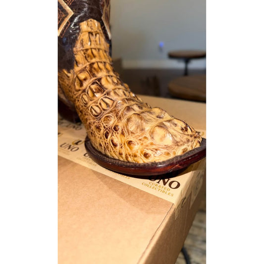 American Alligator - Hornback/Neck Cut- 11D-NEW