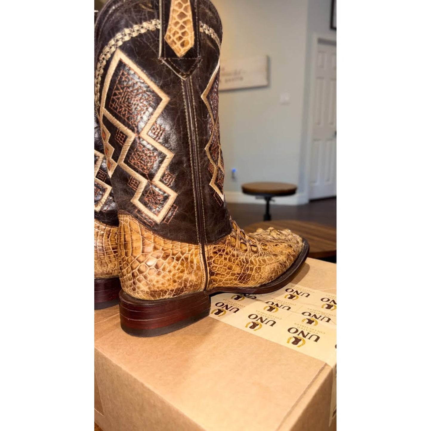 American Alligator - Hornback/Neck Cut- 11D-NEW