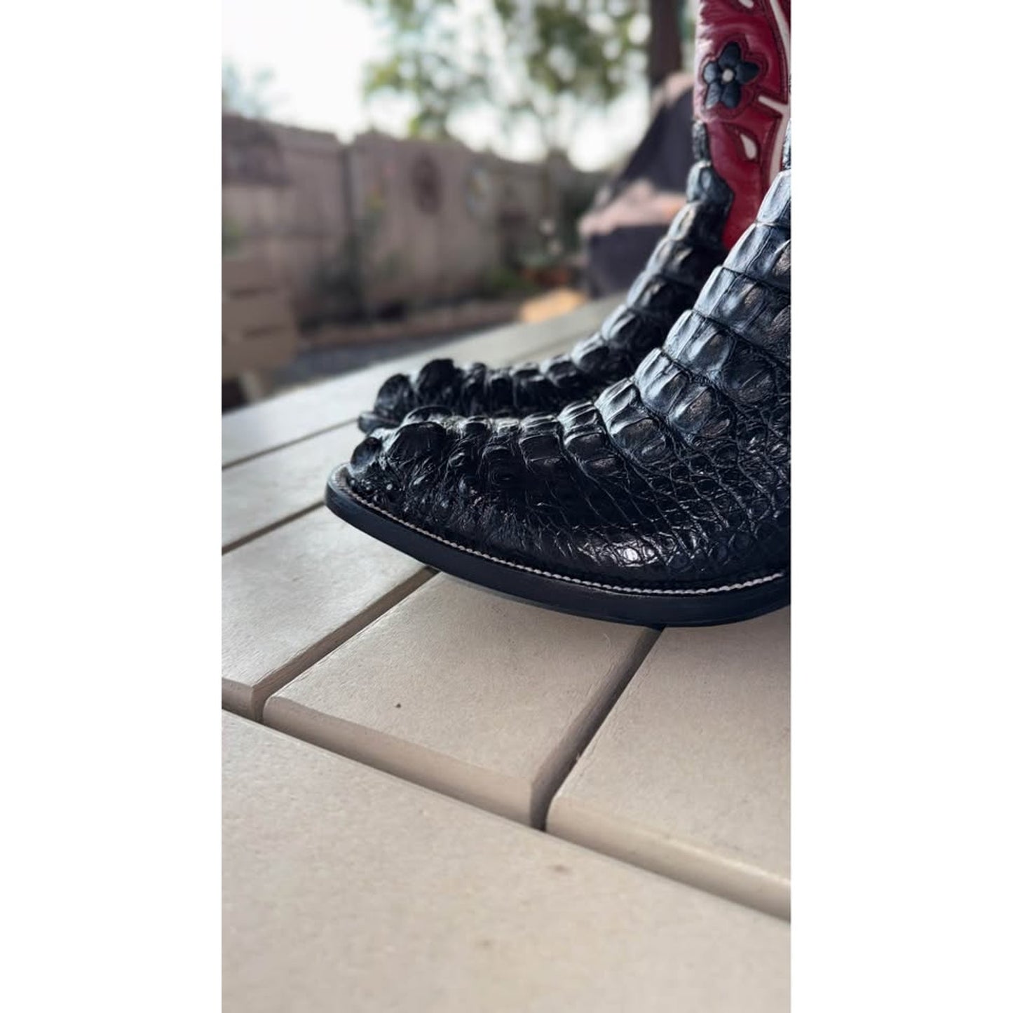 Hornback Alligator Boots - Custom - 11D