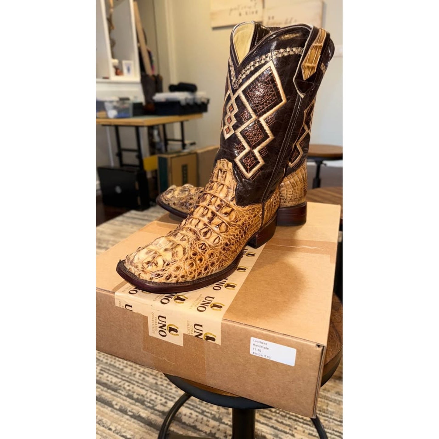 American Alligator - Hornback/Neck Cut- 11D-NEW