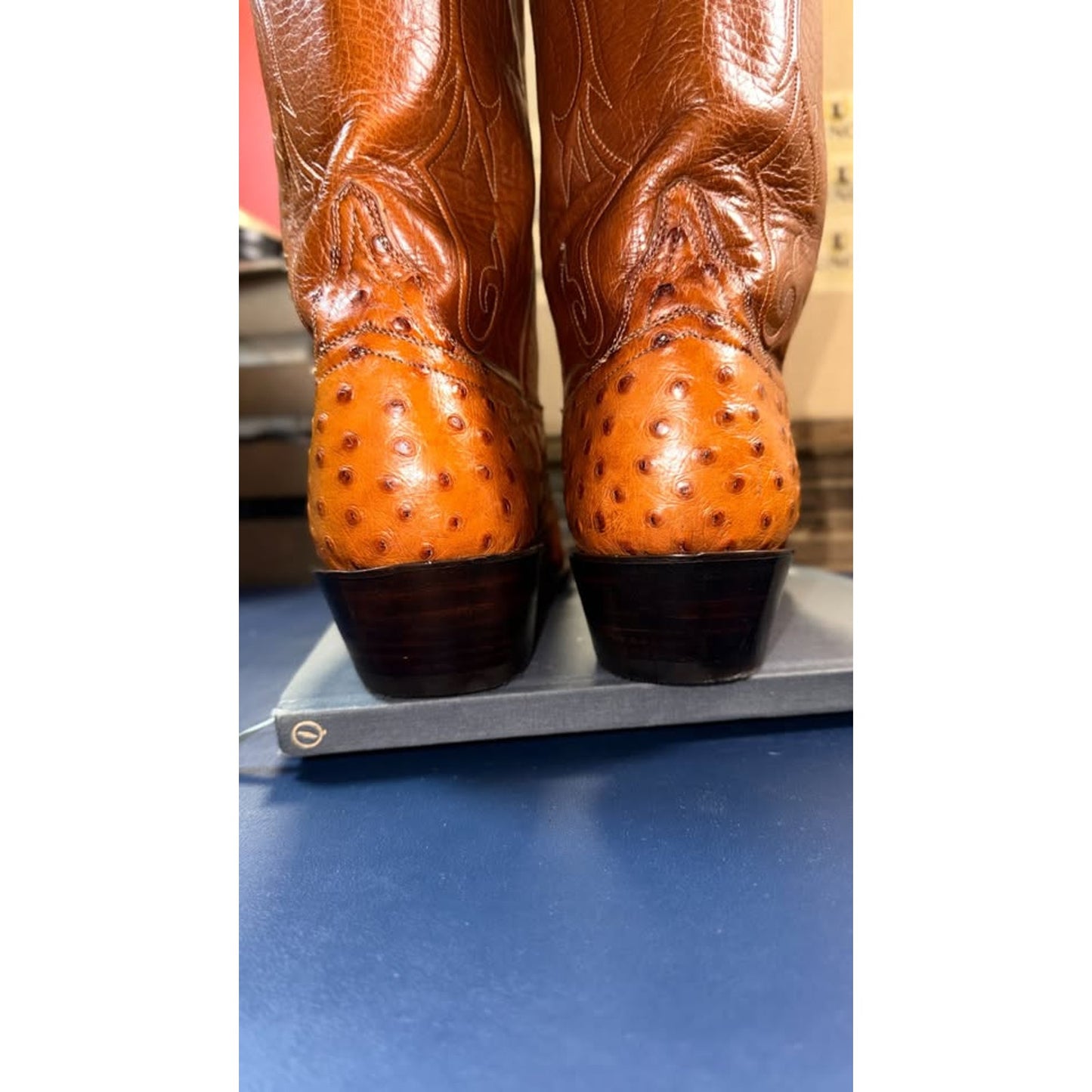 Lucchese Handmade Ostrich 12D