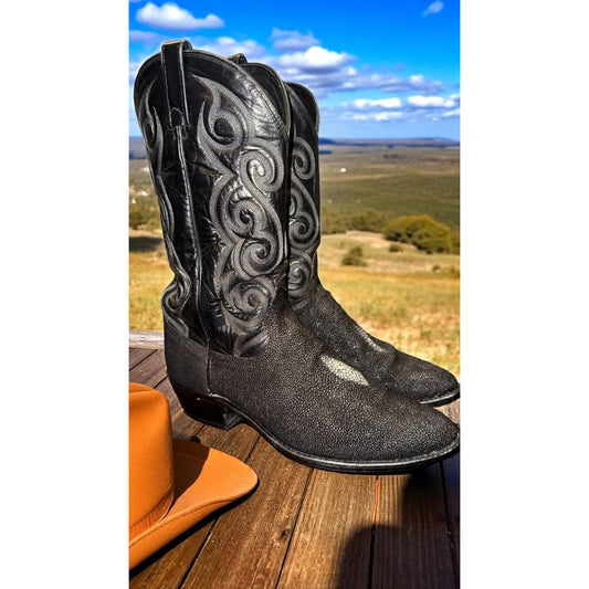 Stingray Boots - Dan Post 11D