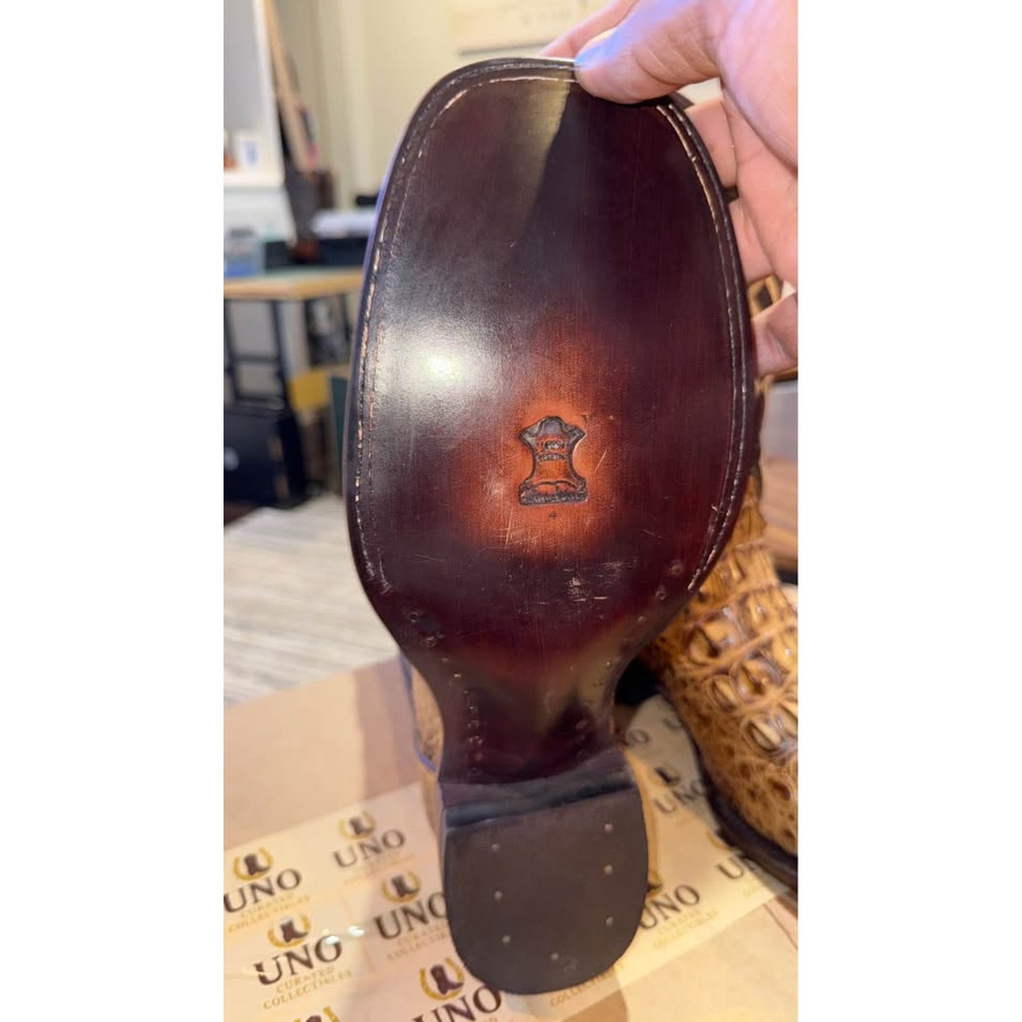 American Alligator - Hornback/Neck Cut- 11D-NEW