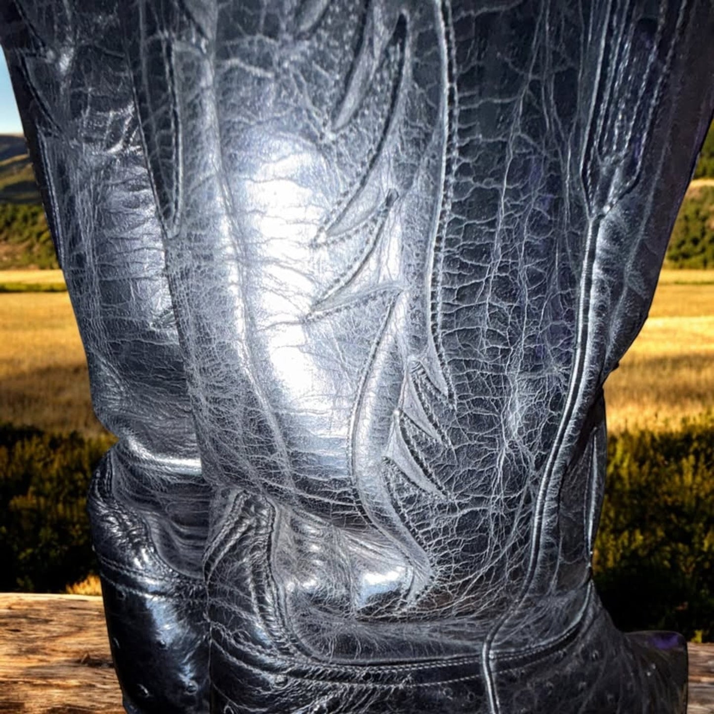 Lucchesse Randall Ostrich-Handmade Black 11.5D