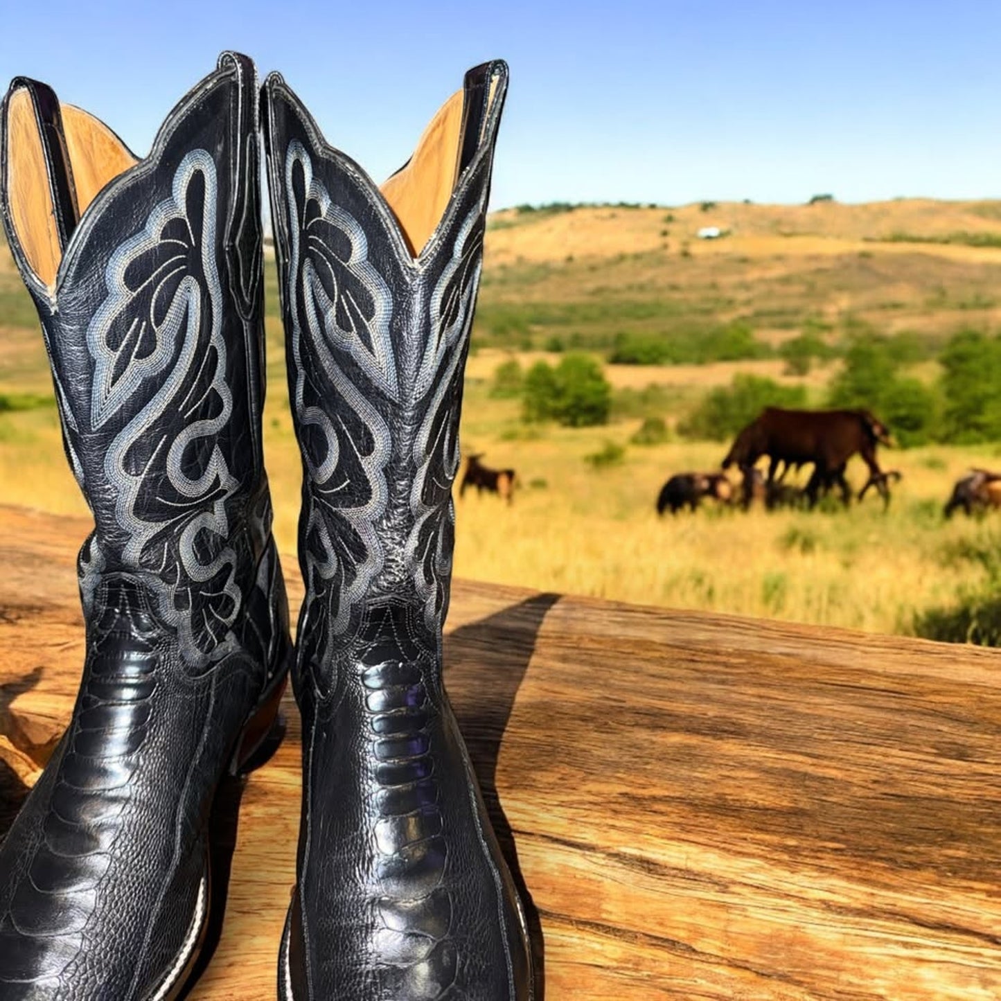 Ostrich Leg Boots-El Dorado-12D