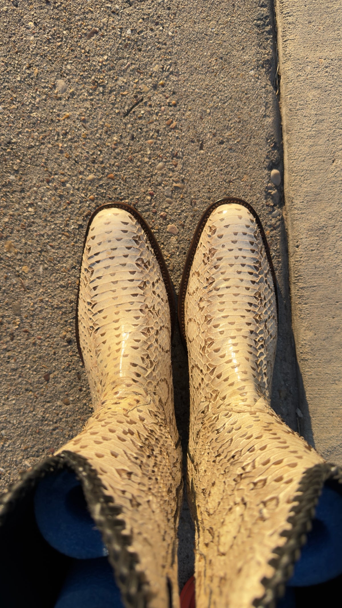 UNO Boots & Collectables genuine python skin cowboy boots in cream and earth tones with dark braided collar trim