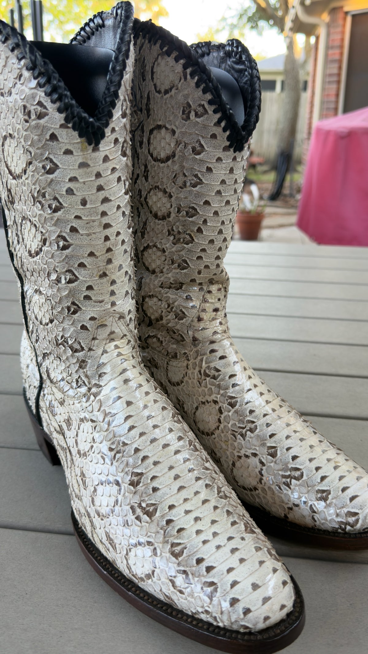 UNO Boots & Collectables genuine python skin cowboy boots in cream and brown with black braided collar trim