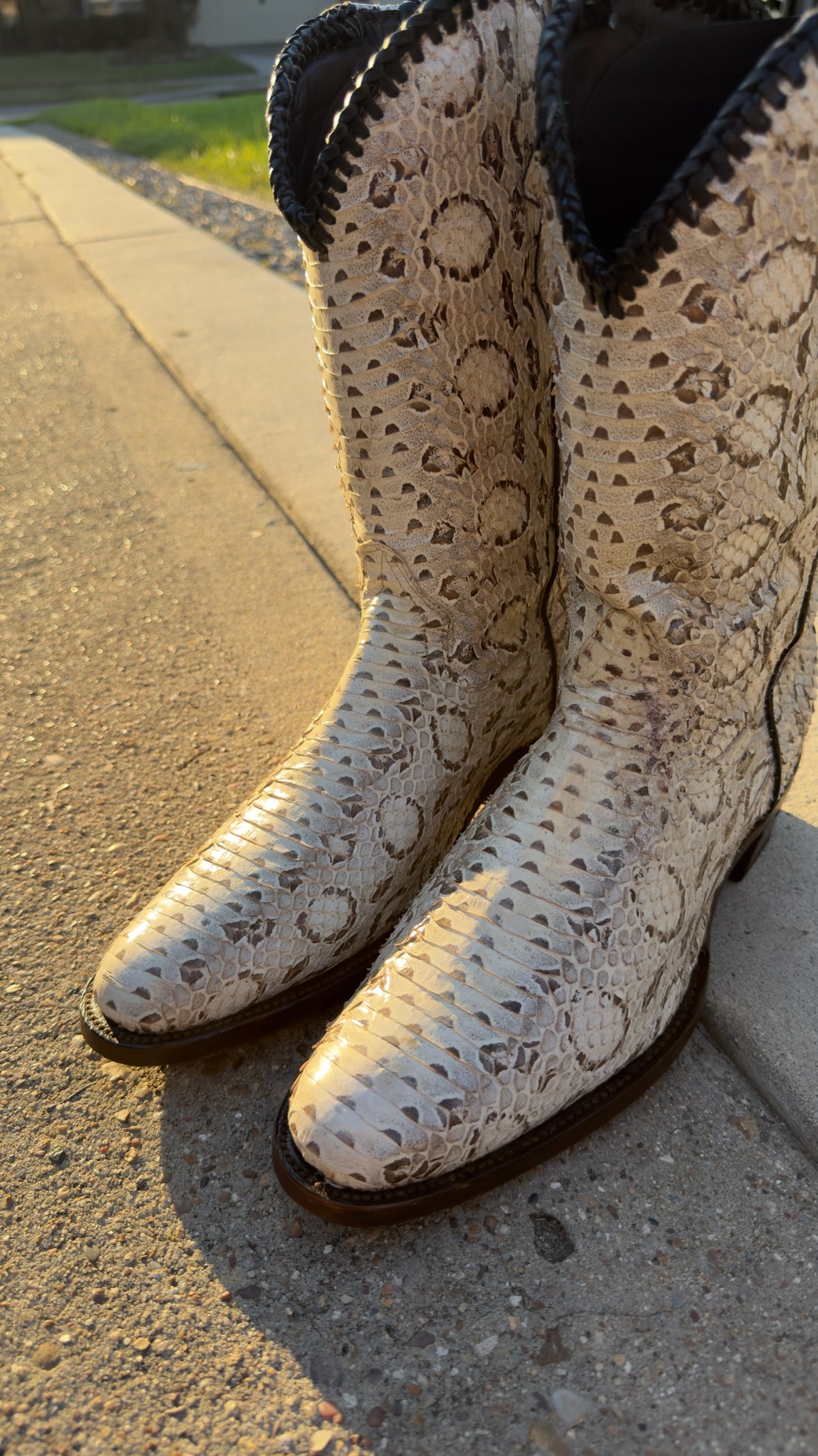 UNO Boots & Collectables genuine python skin cowboy boots in cream and earth tones with dark braided collar trim.