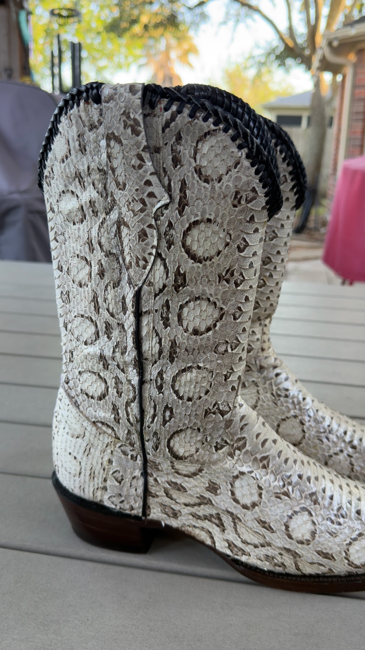 UNO Boots & Collectables genuine python skin cowboy boots in cream and brown with dark braided collar trim