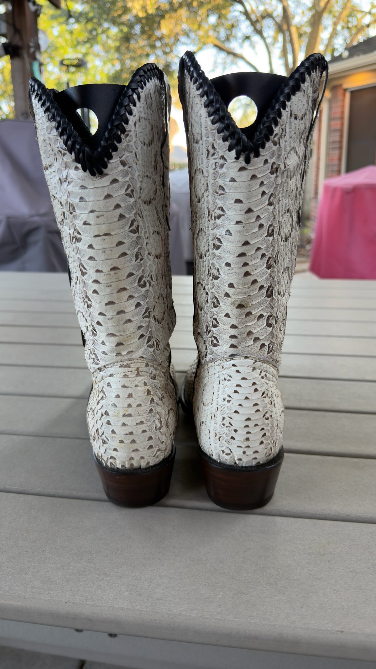 UNO Boots & Collectables genuine python skin cowboy boots in cream with dark braided trim, back view.